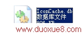 IconCache