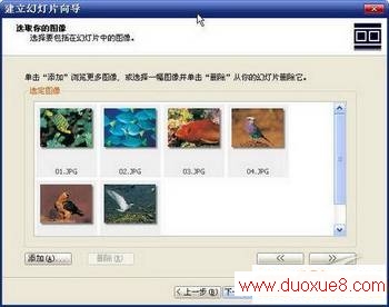 ΪҳACDSee10