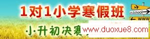 智康1对1小学寒假课程