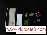 押花书签的详细制作方法(图解)
