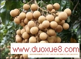 ԹԲķβа--ԲĹЧ